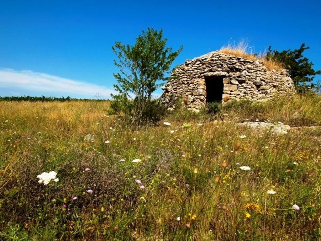 Cefalicchio B&B Canosa di Puglia Exterior photo