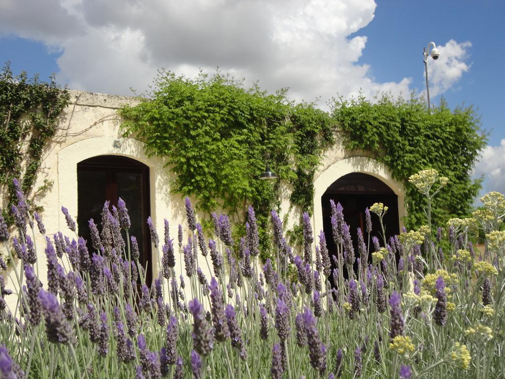 Cefalicchio B&B Canosa di Puglia Exterior photo